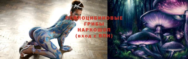 соль ск Ладушкин