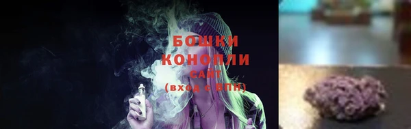 соль ск Ладушкин