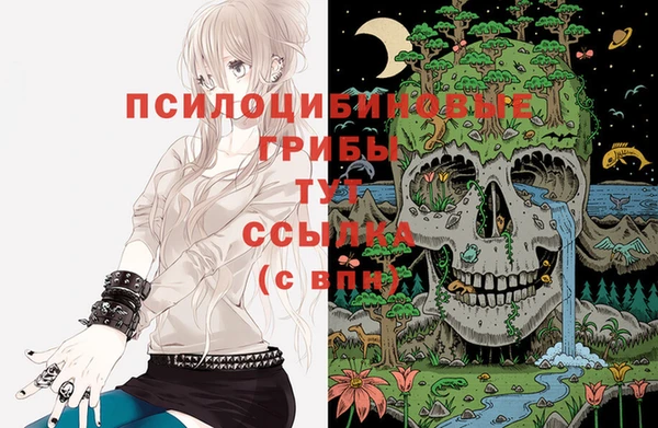 винт Лабытнанги