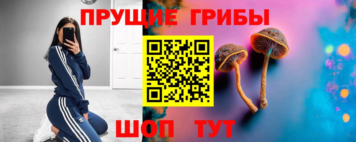 Печора  Галлюциногенные грибы мицелий  Вход с VPN  Псилоцибиновые грибы Cubensis 